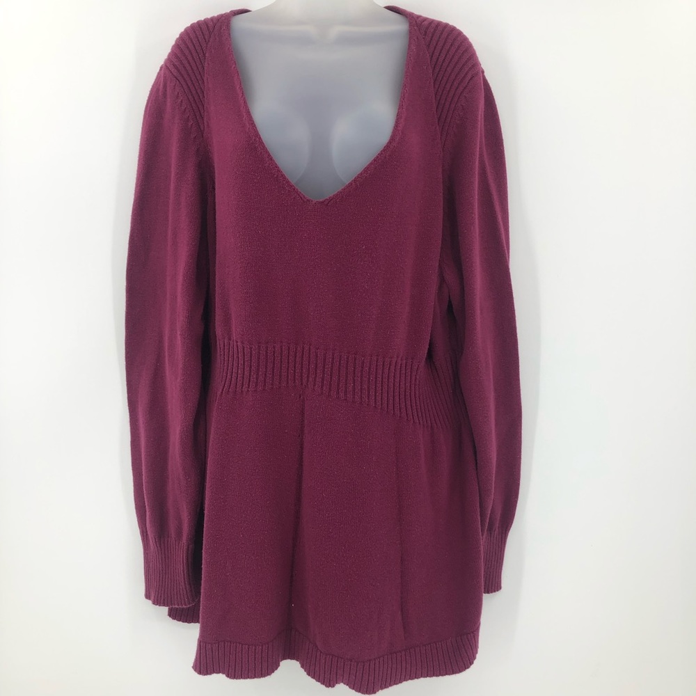 Calvin Klein Jeans Sweater Womens 3X Long Sleeve Vneck Peplum Purple